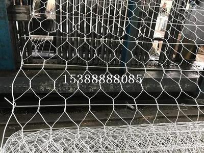 格宾网